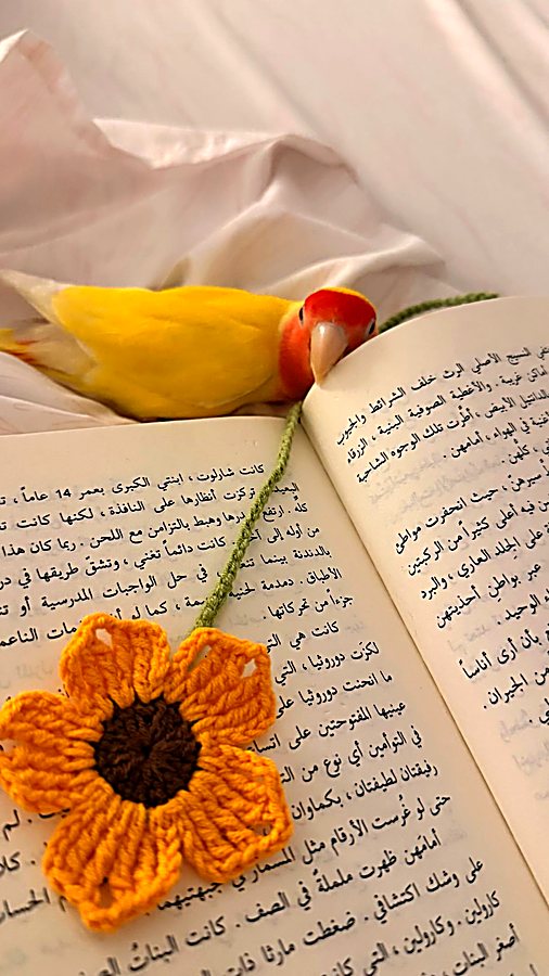 فشّور يقرأ كتاب